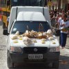 Desfile de  setesetenbro 211